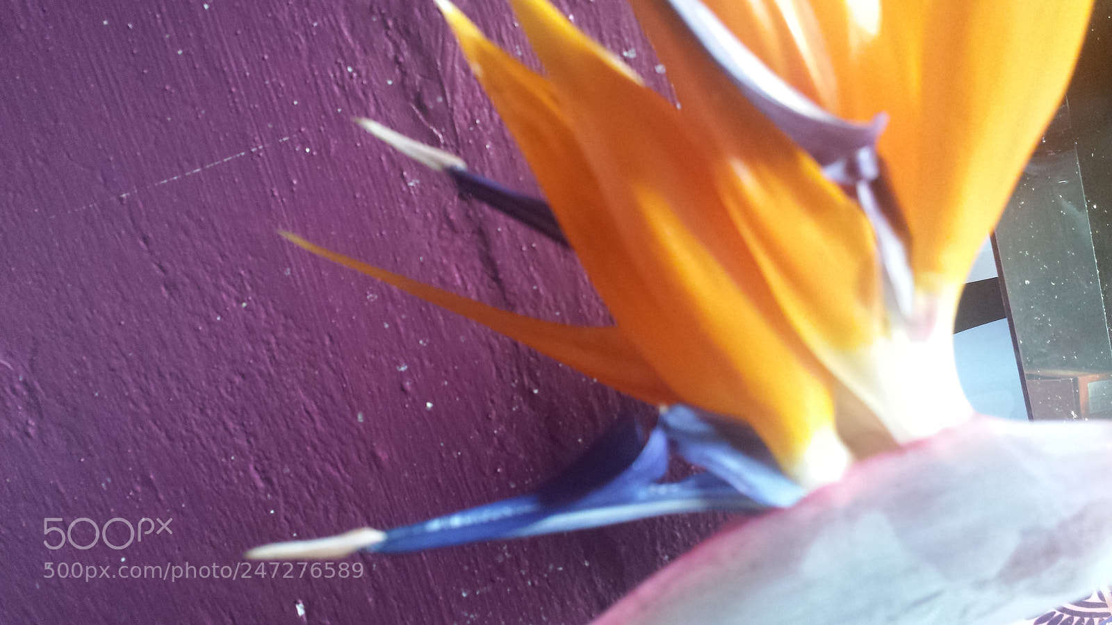 Samsung Galaxy S4 sample photo. Untitled photography