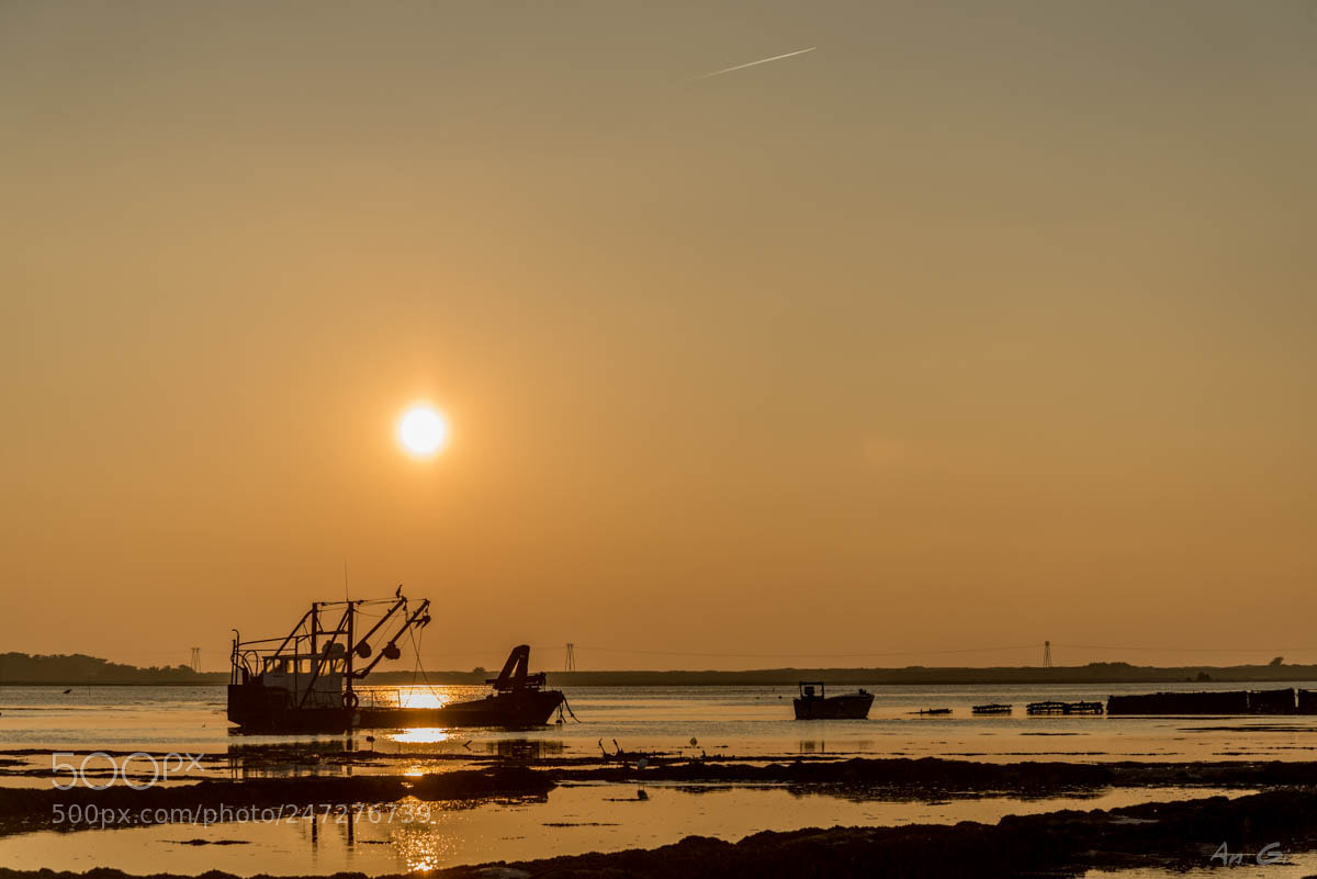 Nikon D600 sample photo. Coucher soleil le po photography
