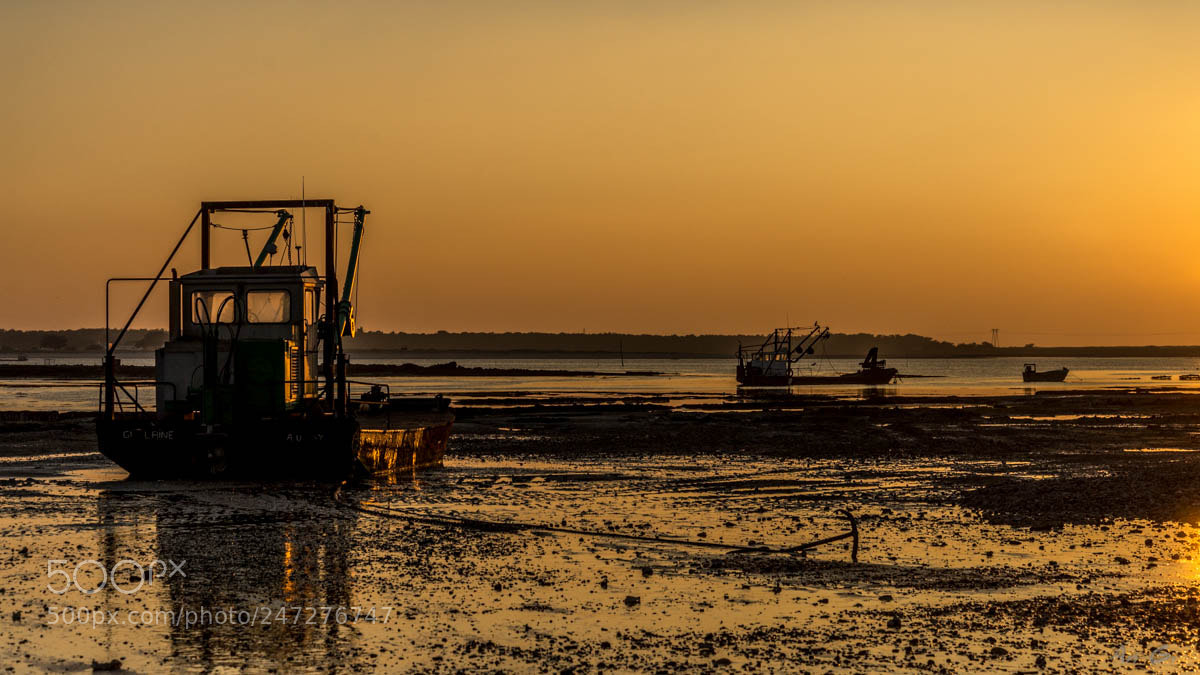 Nikon D600 sample photo. Coucher soleil le po photography