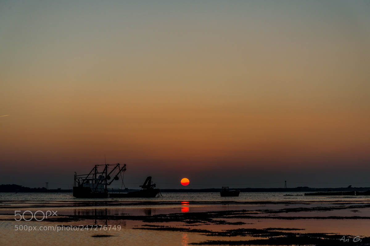 Nikon D600 sample photo. Coucher soleil le po photography