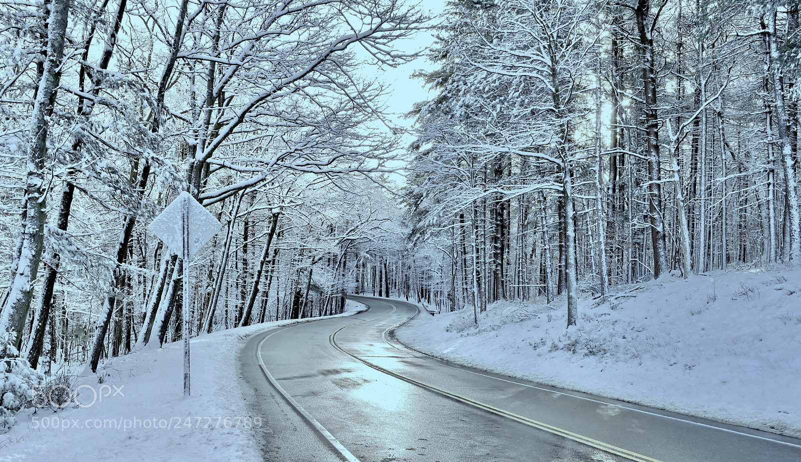 Nikon D850 sample photo. Curved snow road photography