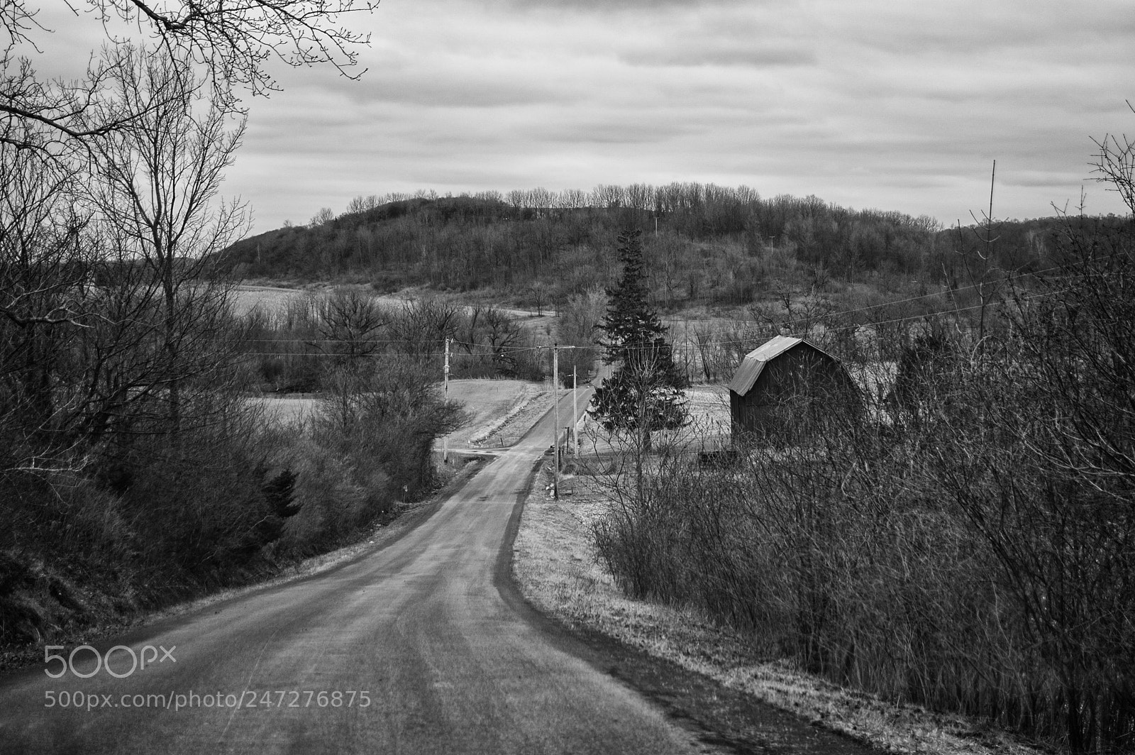 Nikon D40 sample photo. Country road home photography