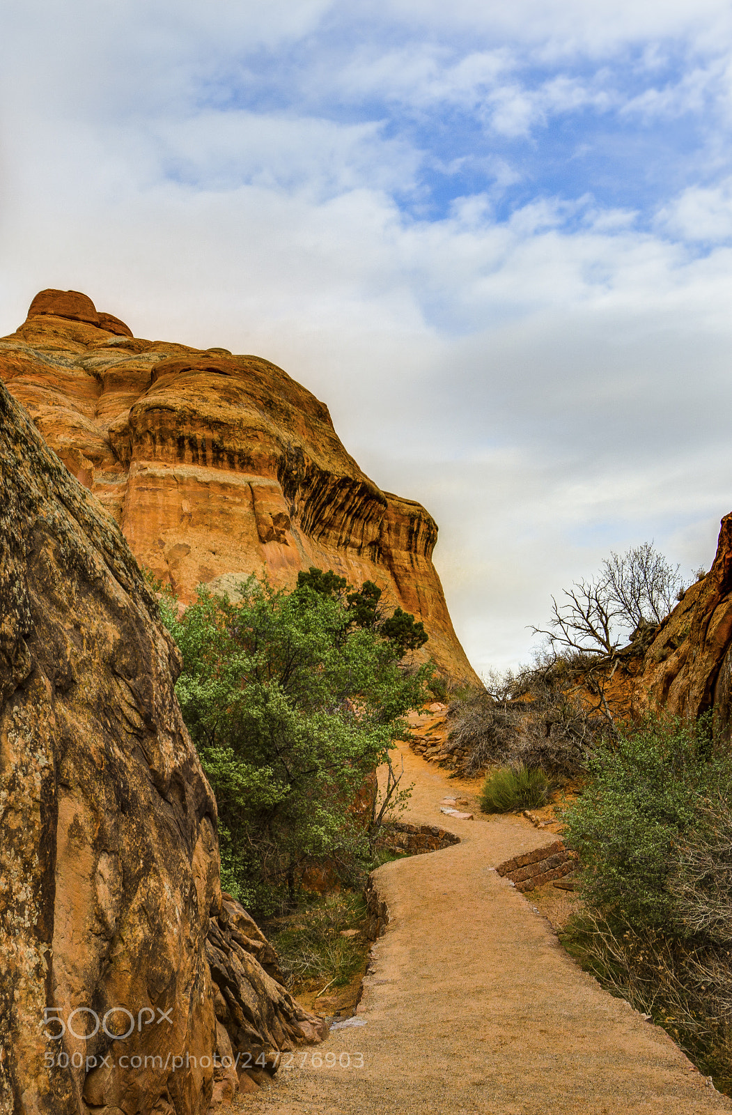 Nikon D7200 sample photo. Arches photography