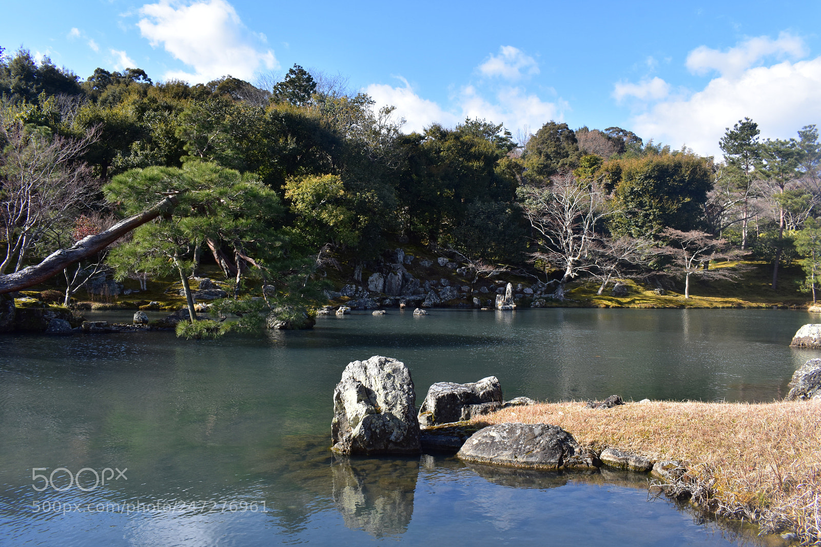 Nikon D3400 sample photo. Kyoto photography