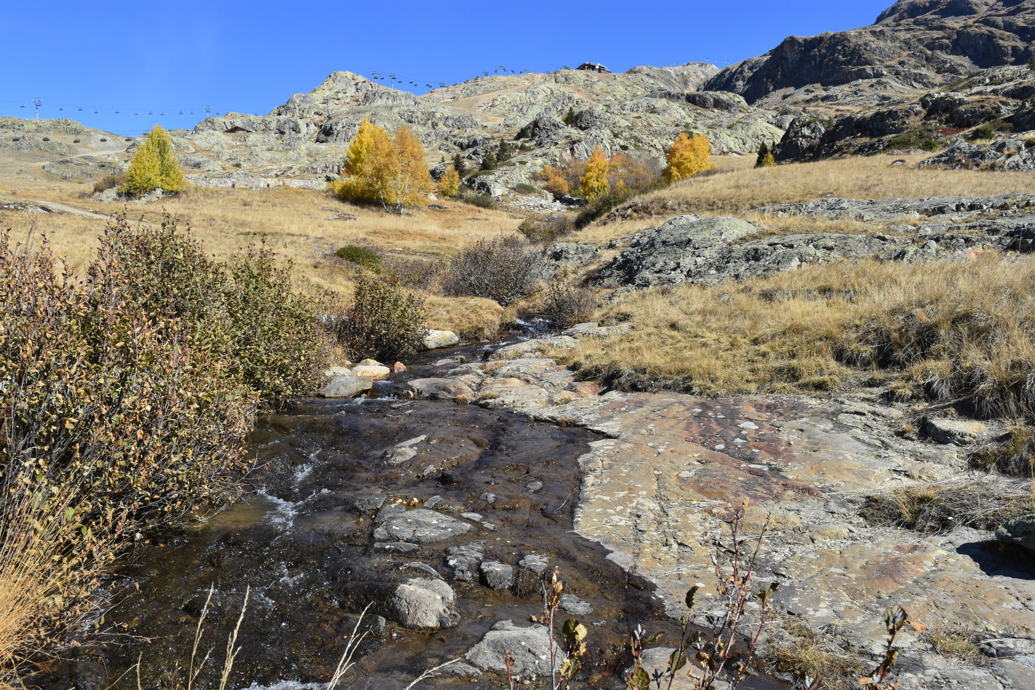 Nikon D7200 sample photo. Dsc photography