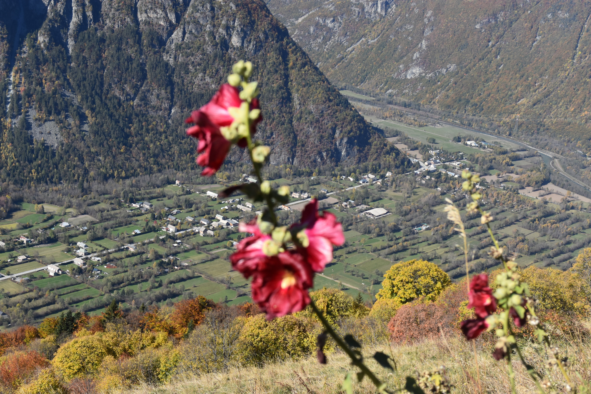 Nikon D7200 sample photo. Dsc photography
