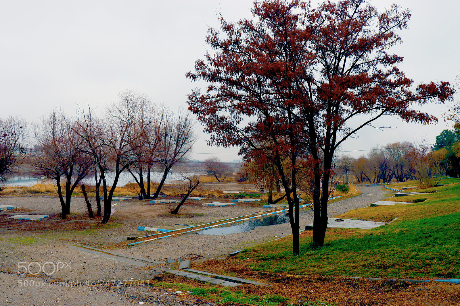 Canon EOS 800D (EOS Rebel T7i / EOS Kiss X9i) sample photo. Park photography