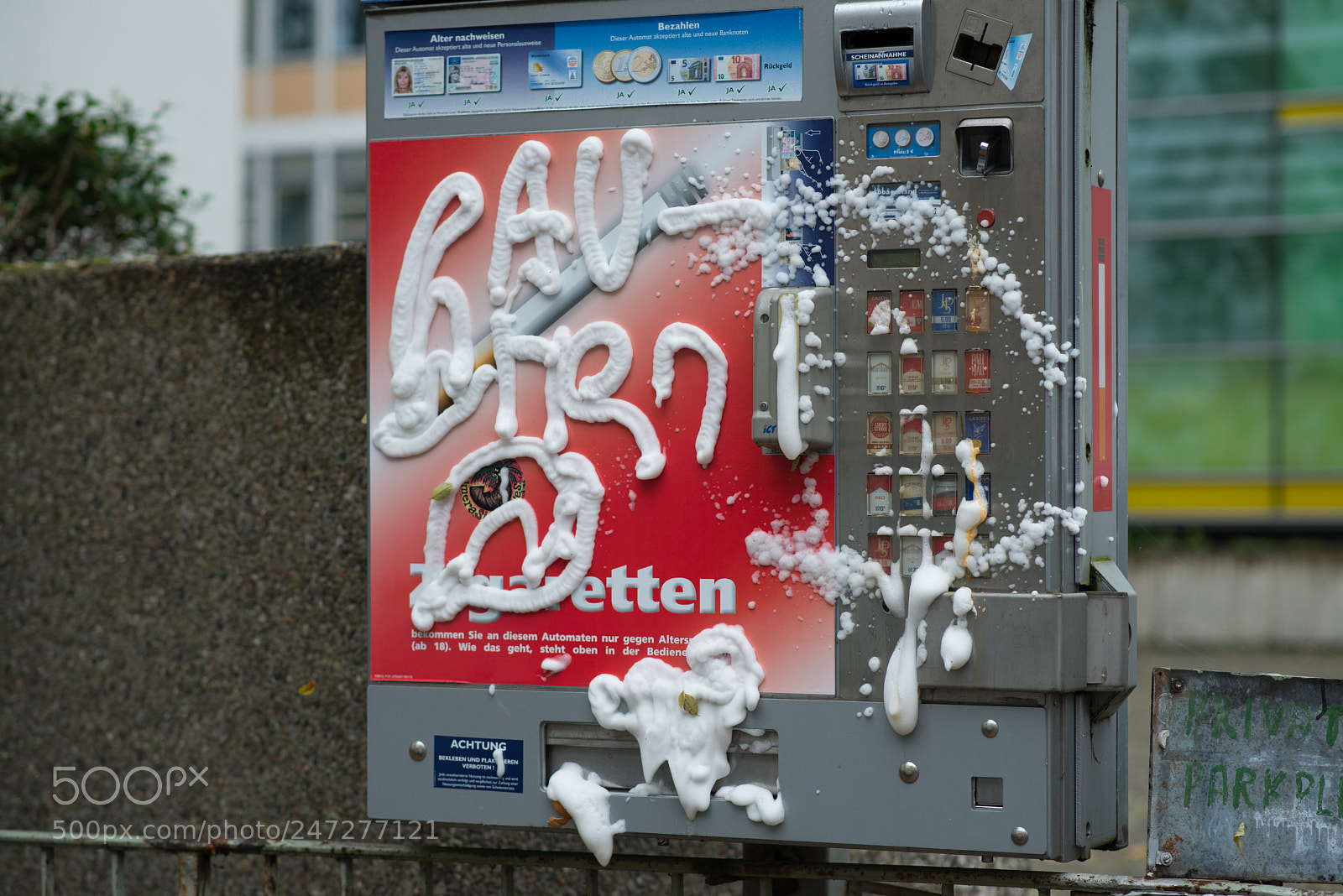 Nikon D800 sample photo. 2016-11-01-13_052.jpg photography