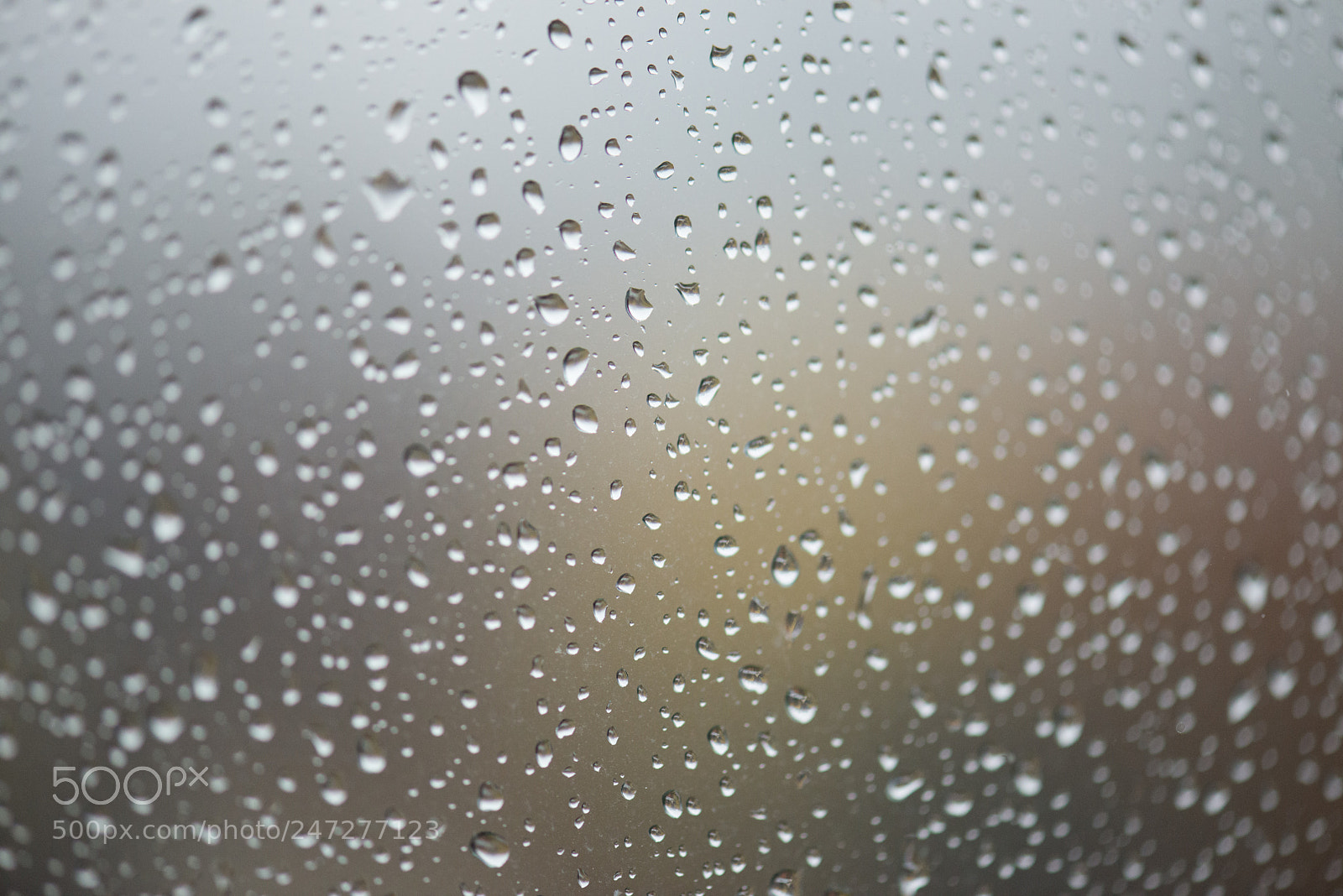 Nikon D800 sample photo. Nichts zu sehen photography