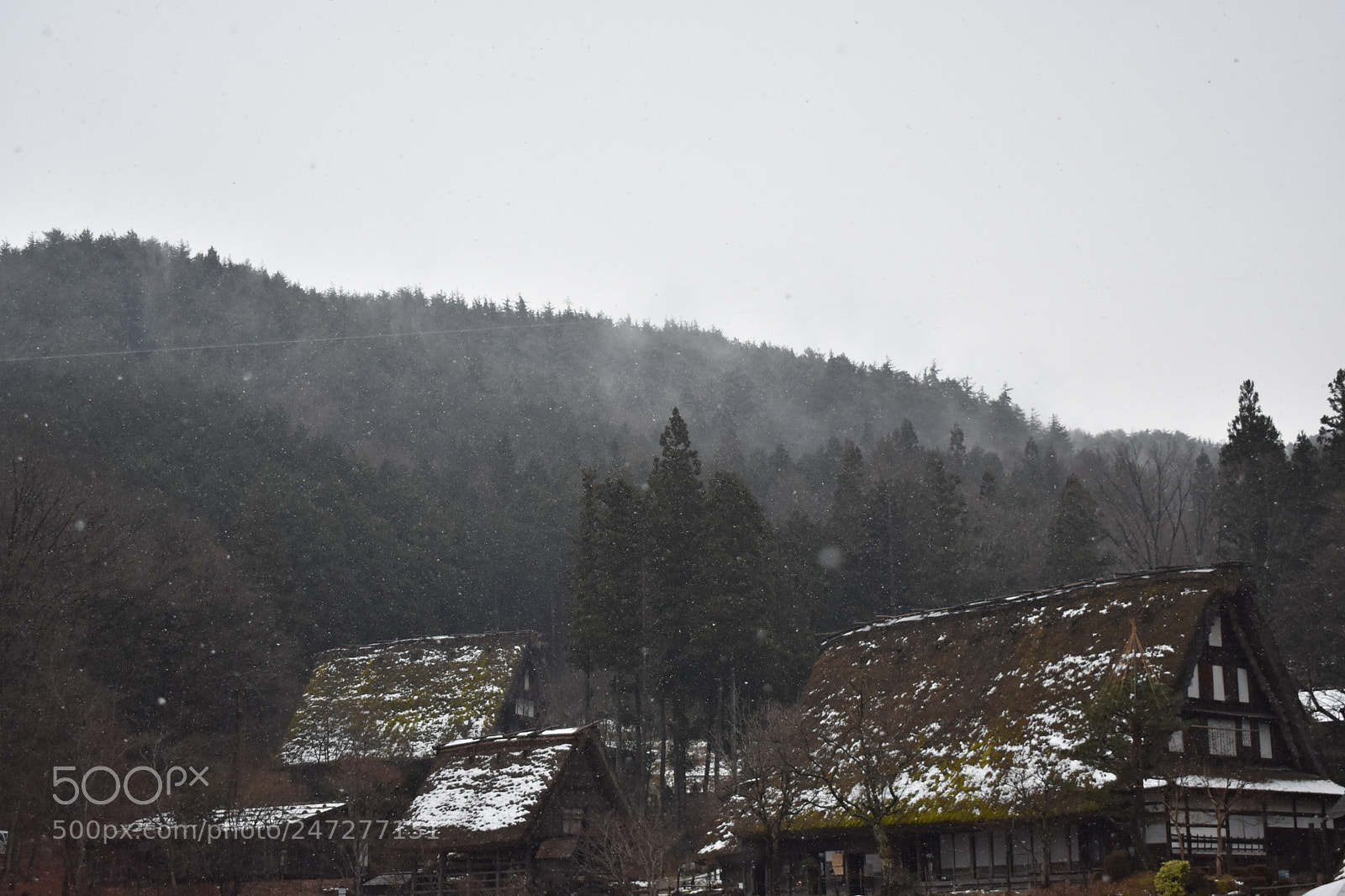 Nikon D3400 sample photo. Takayama photography