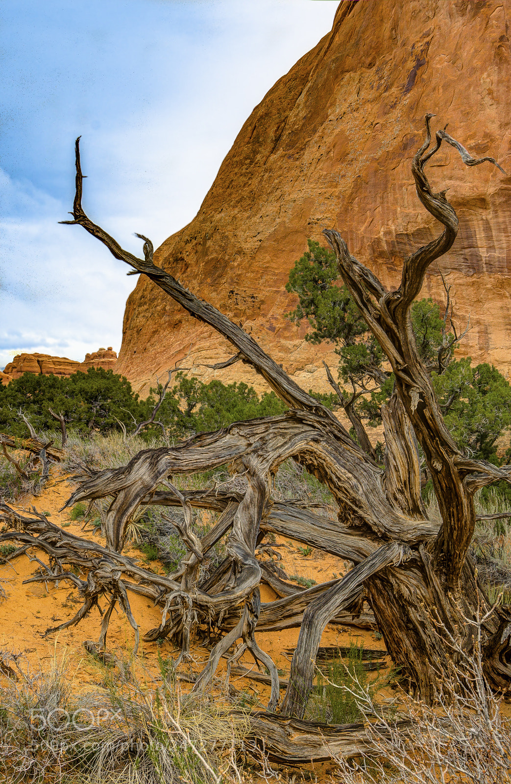 Nikon D7200 sample photo. Arches photography