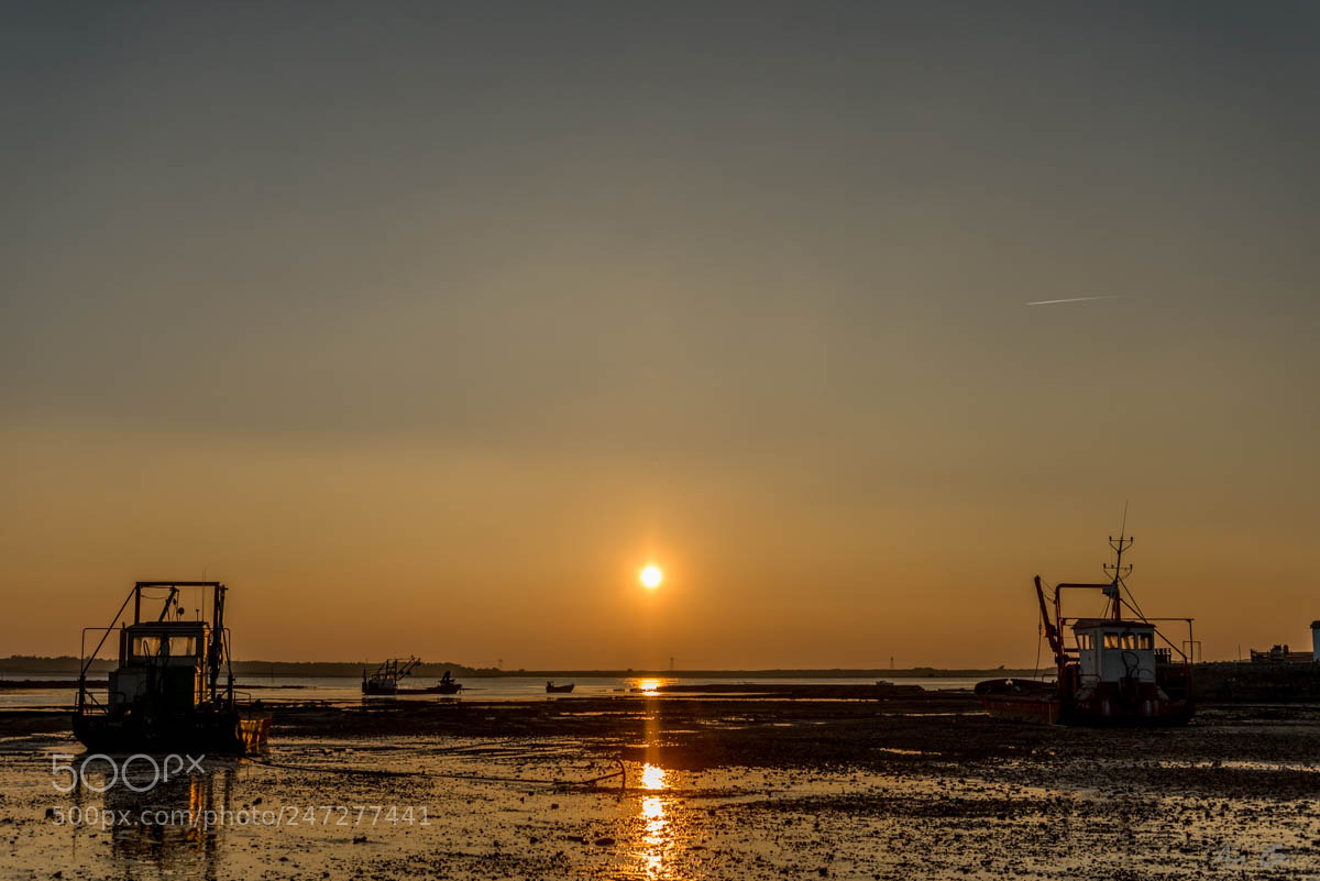 Nikon D600 sample photo. Coucher soleil le po photography