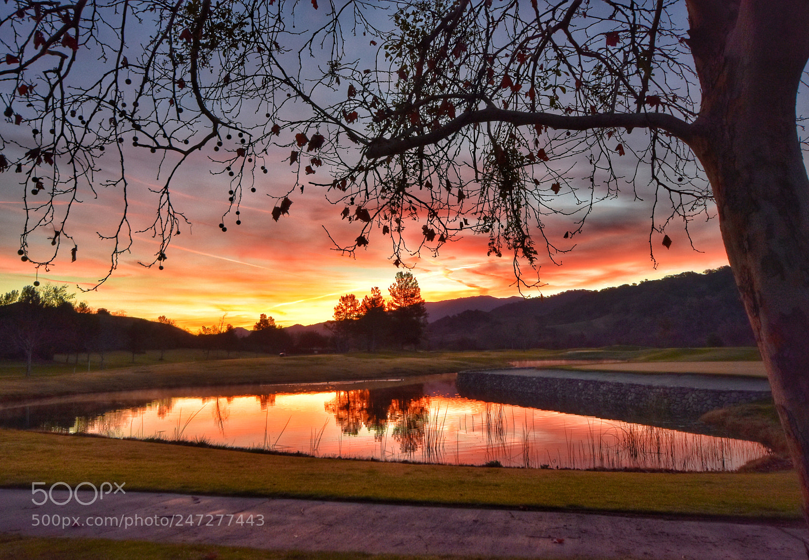 Nikon D3400 sample photo. Sunrise over alisal photography