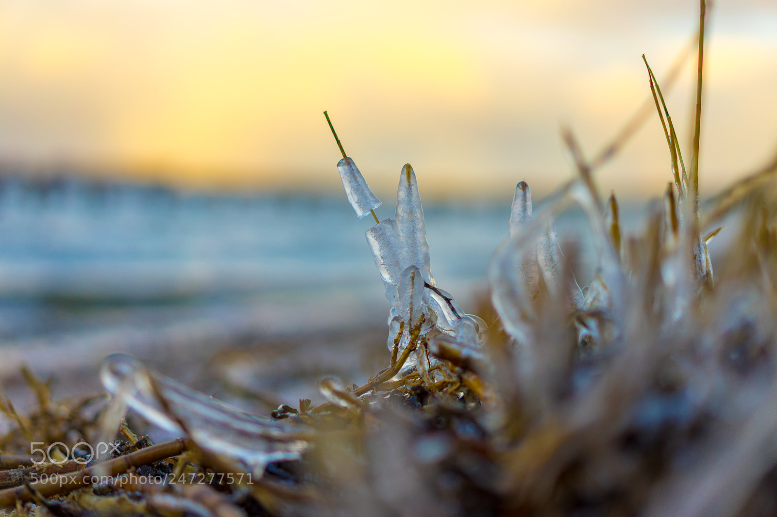 Sony a7 II sample photo. Winter beach 1 photography