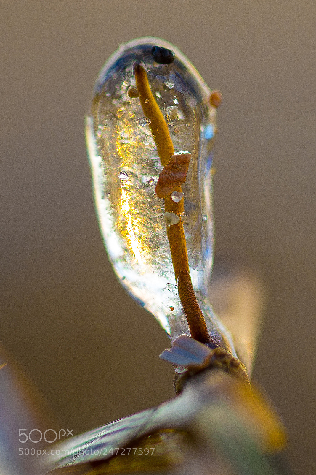 Sony a7 II sample photo. Inside ice photography