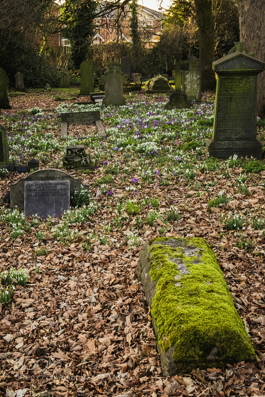 Canon EOS 6D Mark II sample photo. Life and death photography