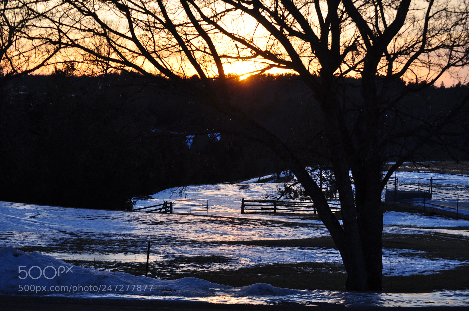 Nikon D5000 sample photo. Winter setting photography