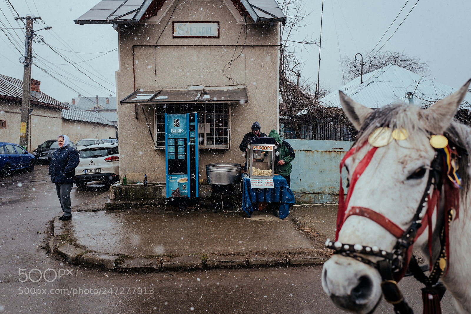 Leica Q (Typ 116) sample photo. 40417584422.jpg photography