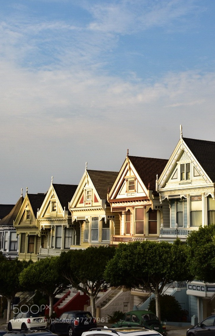 Nikon D7200 sample photo. The painted ladies. san photography