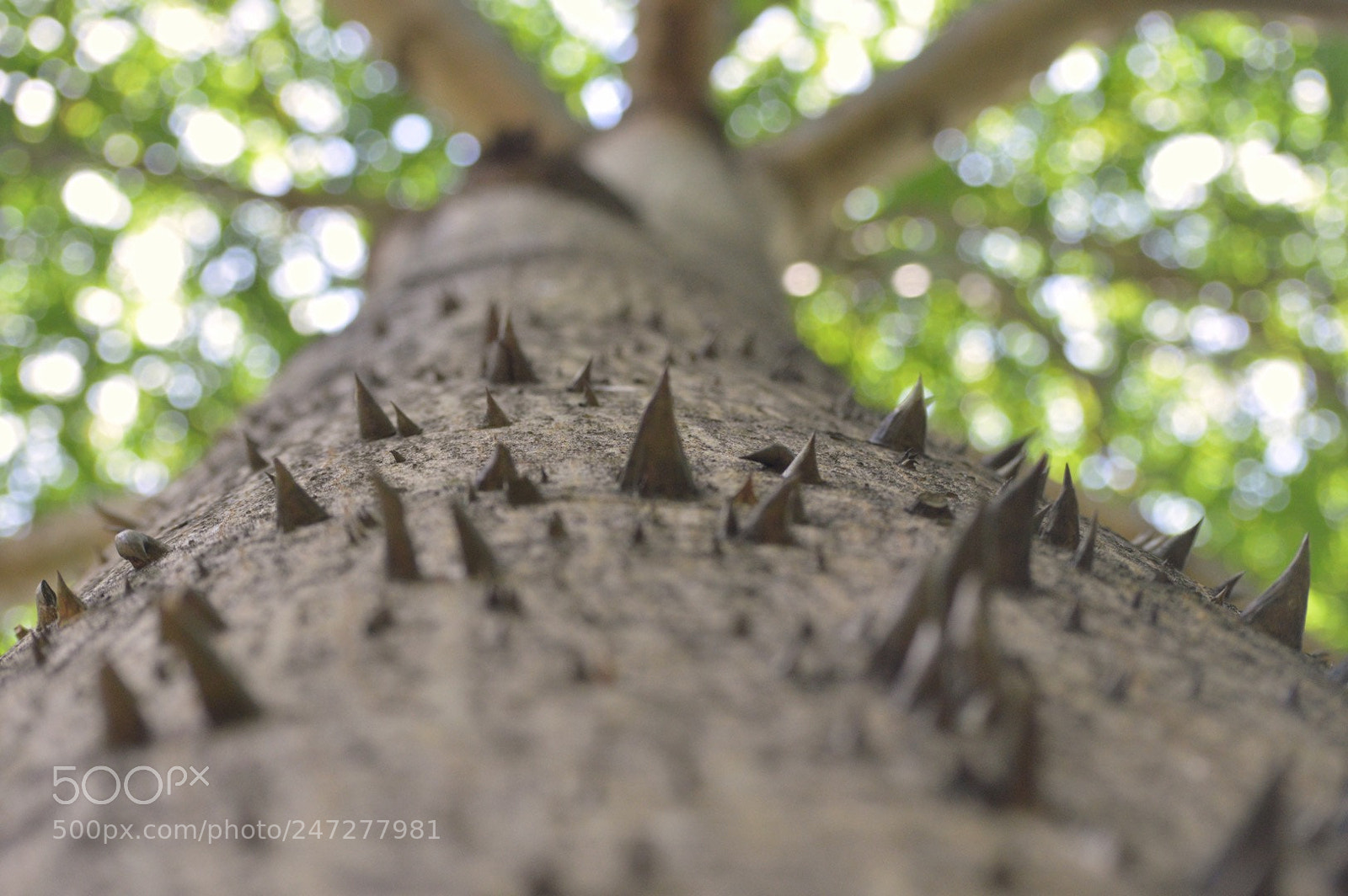 Nikon D3200 sample photo. Untitled photography