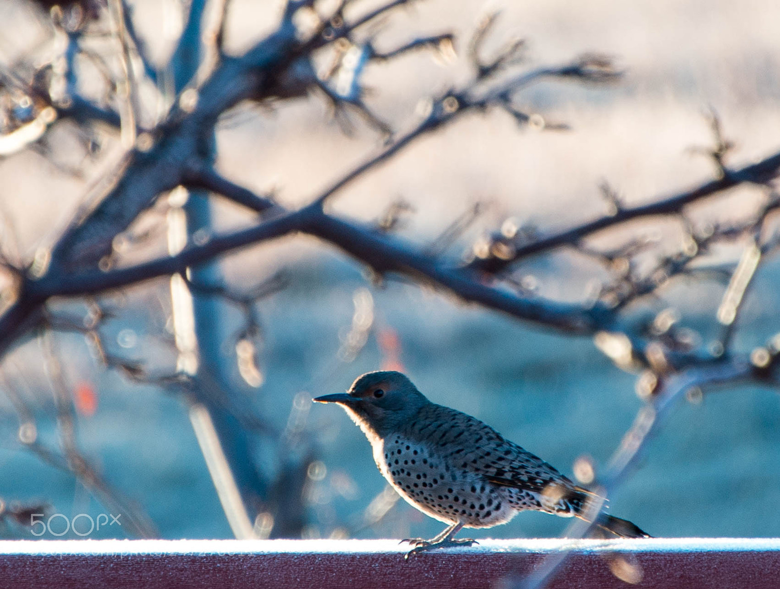 Nikon D800 sample photo. Untitled photography