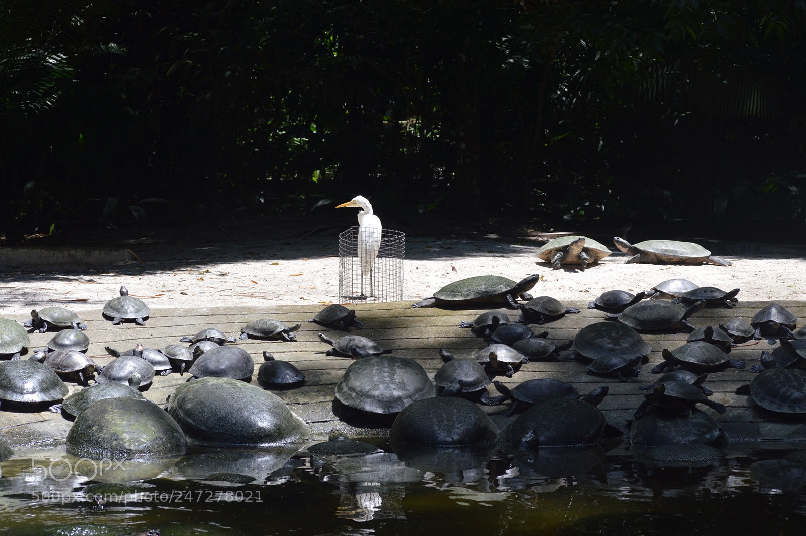 Nikon D3200 sample photo. Untitled photography