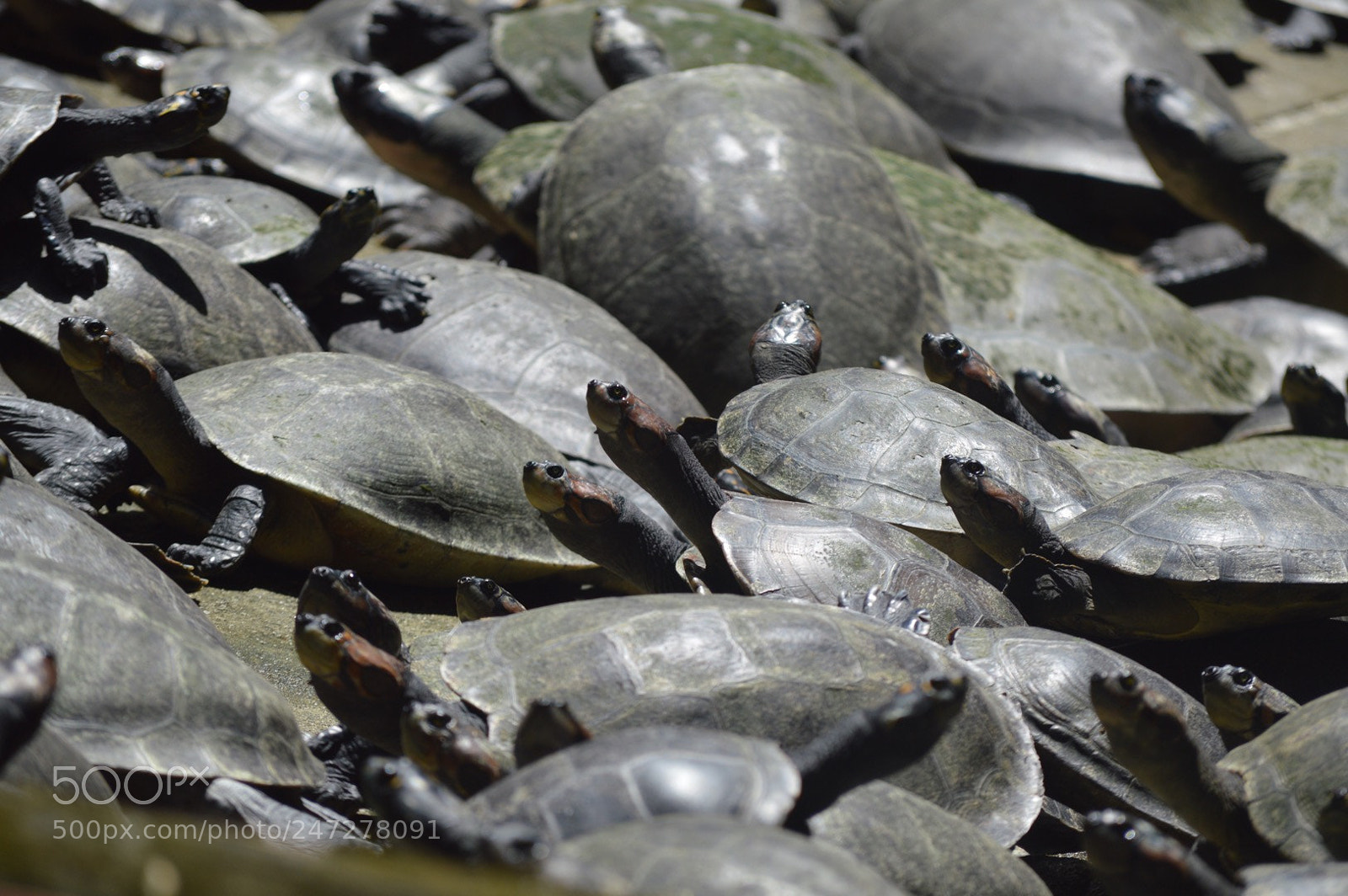 Nikon D3200 sample photo. Untitled photography