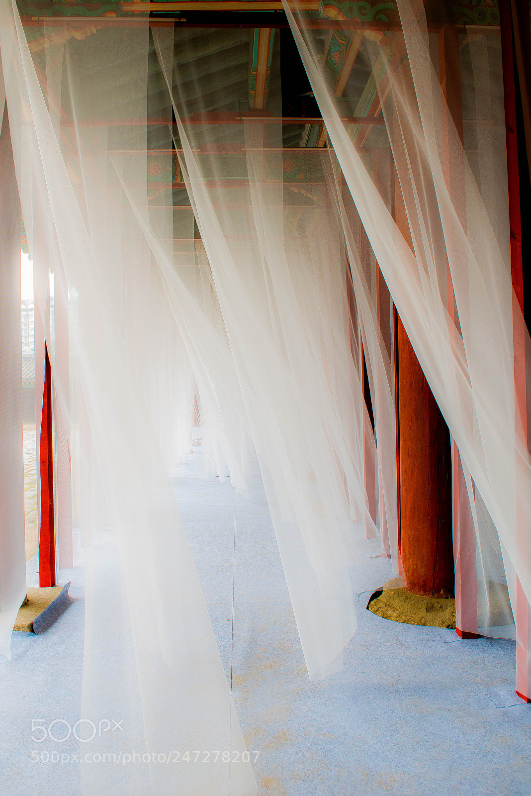 Nikon D800 sample photo. Healing wind photography