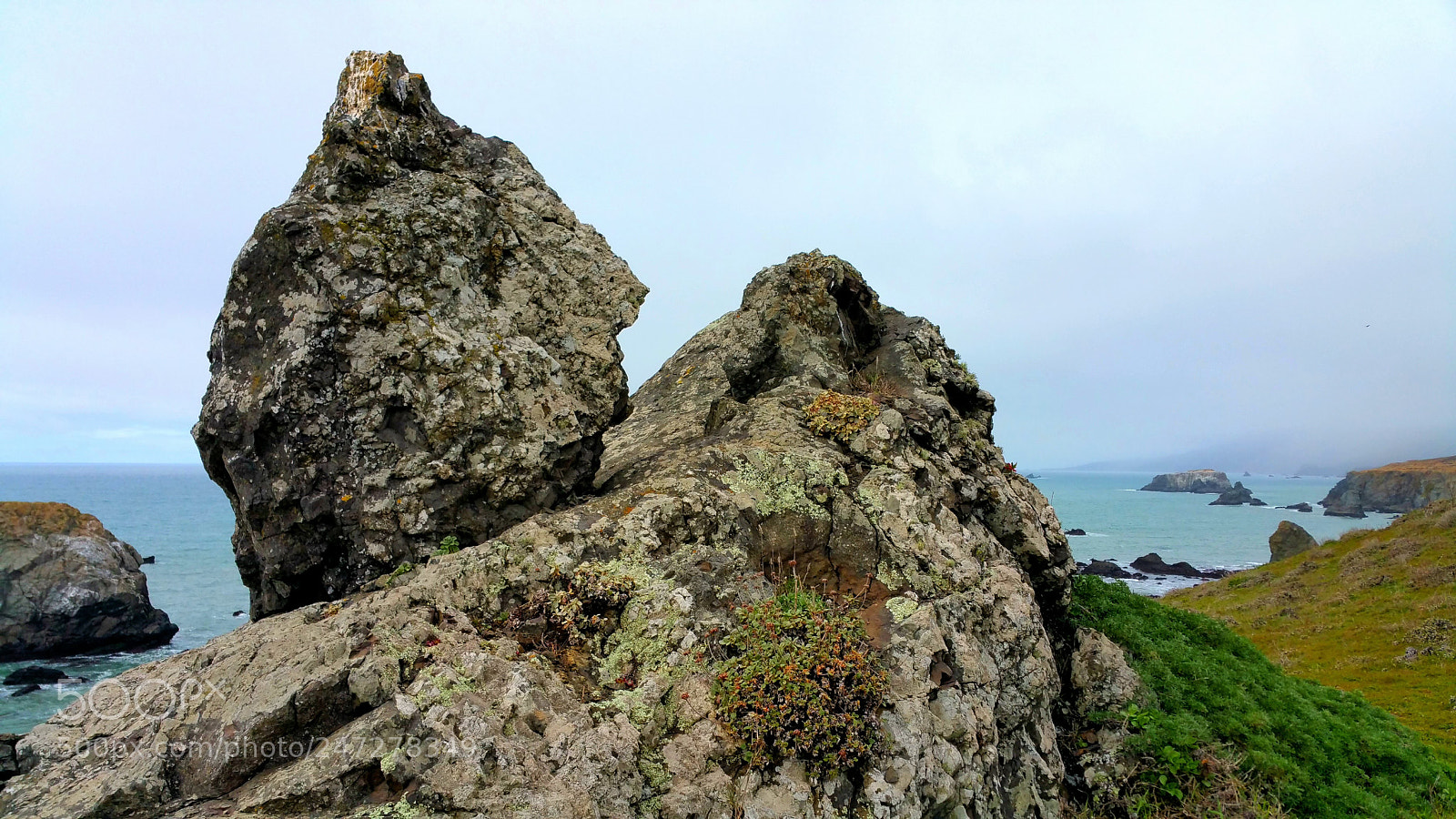 Samsung Galaxy Note4 sample photo. Bold barren sentinels at photography