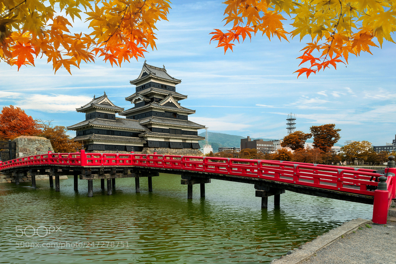 Nikon D800 sample photo. Matsumoto castle in autumn photography