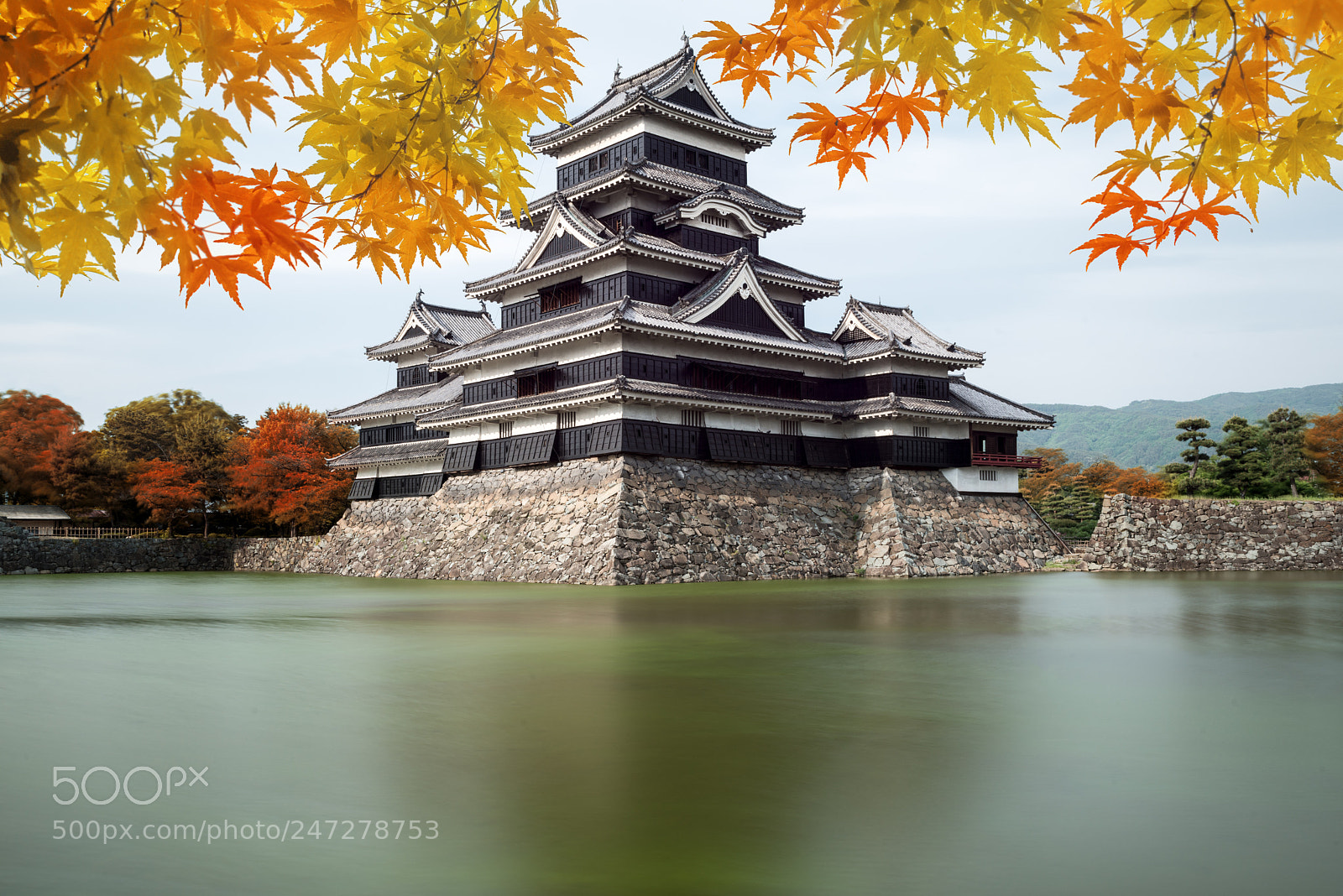 Nikon D800 sample photo. Matsumoto castle in autumn photography