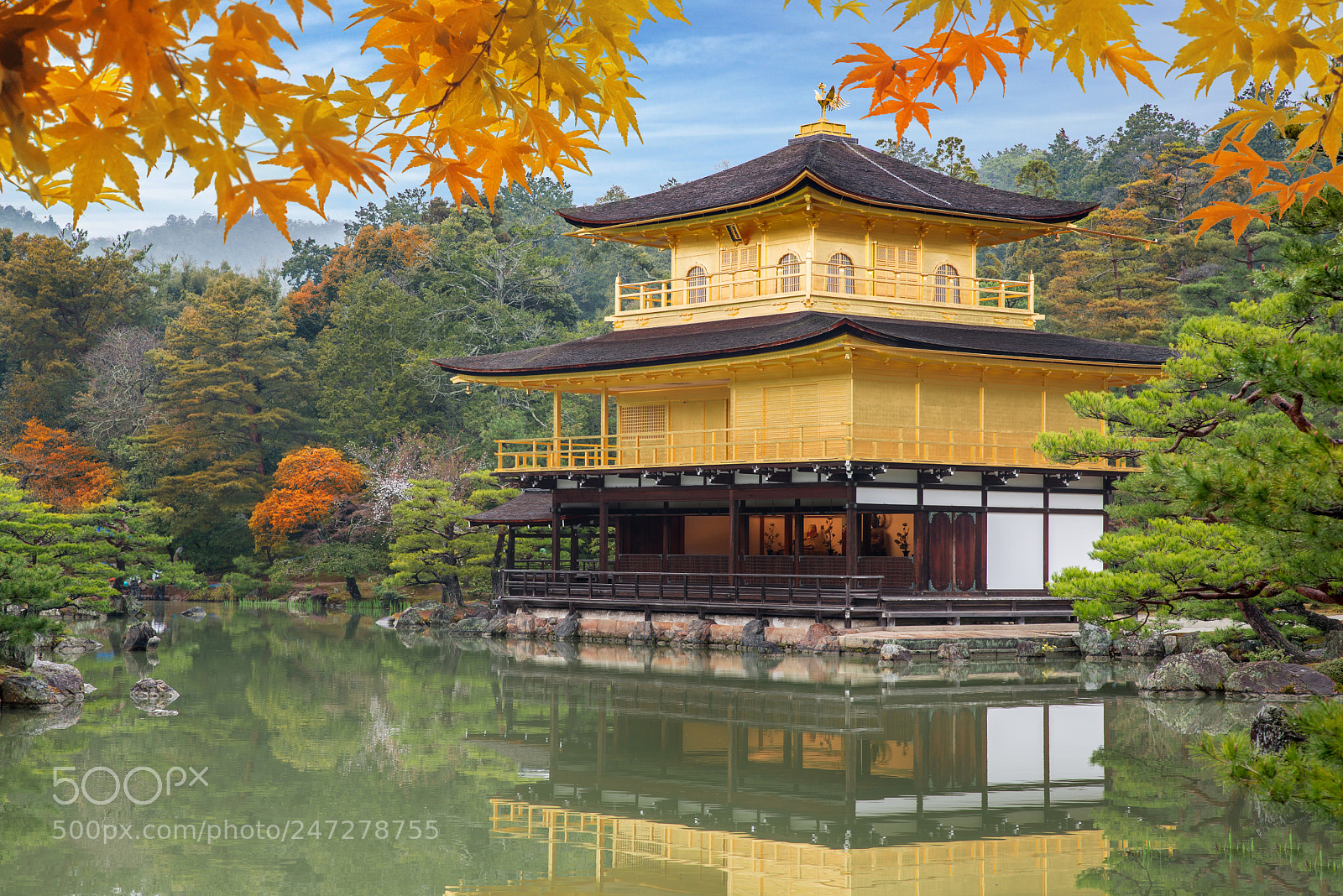 Nikon D800 sample photo. Japan autumn season of photography