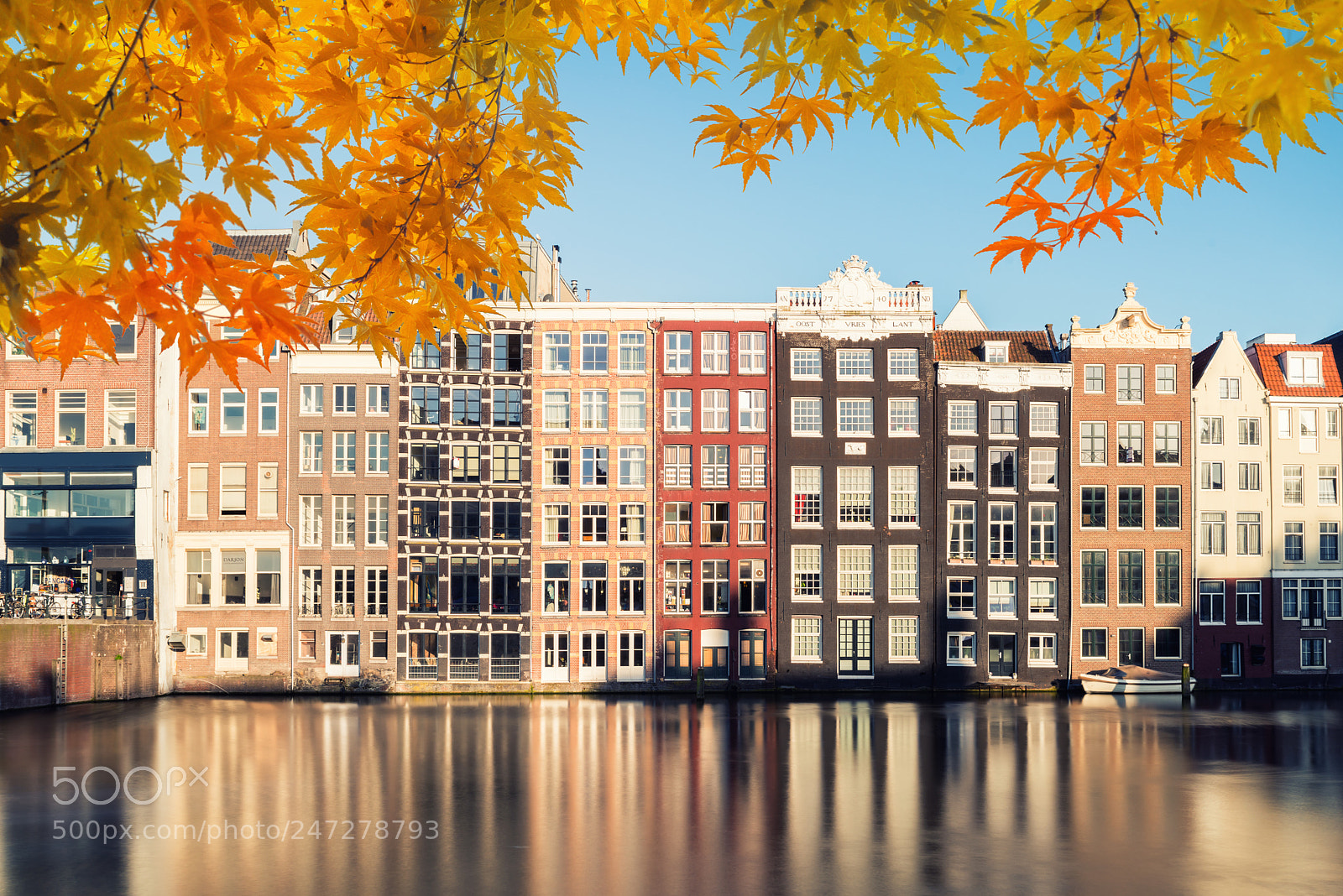 Nikon D800 sample photo. Autumn season at amsterdam photography