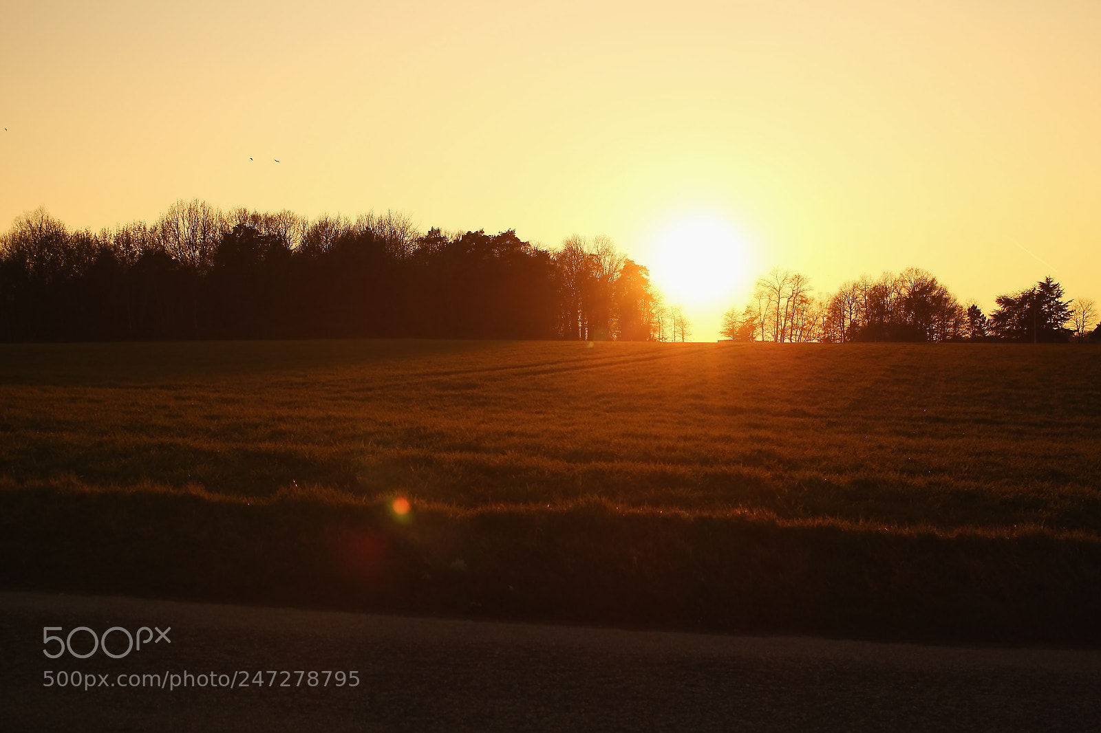 Canon EOS 700D (EOS Rebel T5i / EOS Kiss X7i) sample photo. Sundown photography