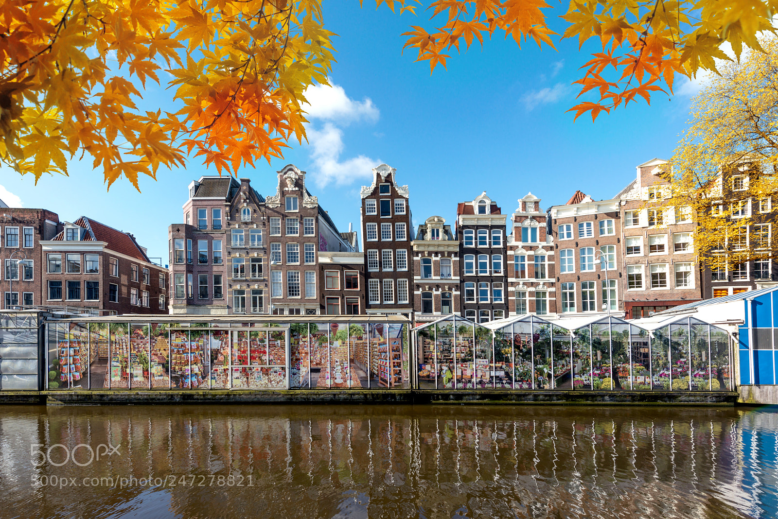 Nikon D800 sample photo. Autumn season at amsterdam photography