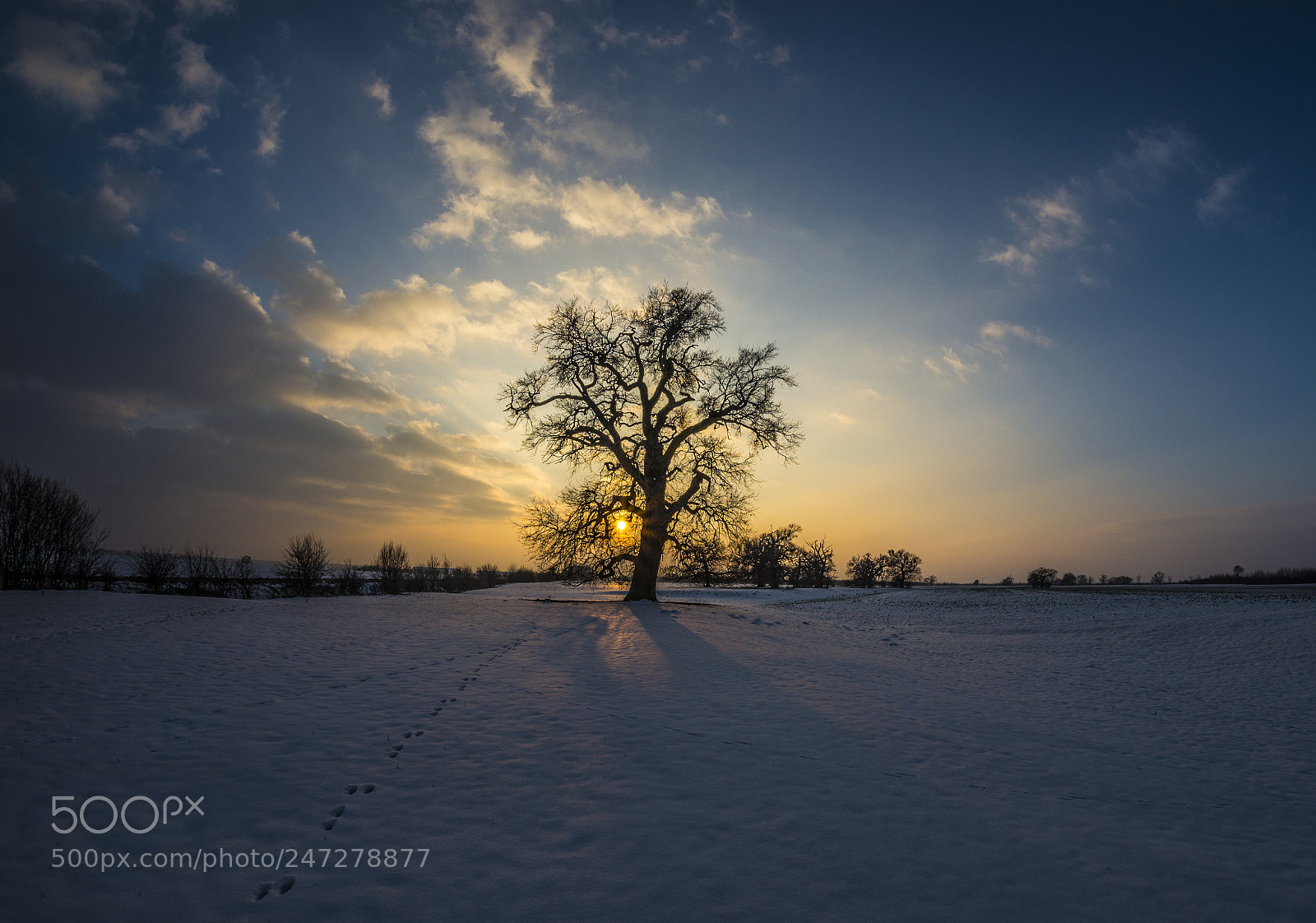 Nikon D610 sample photo. Alone photography