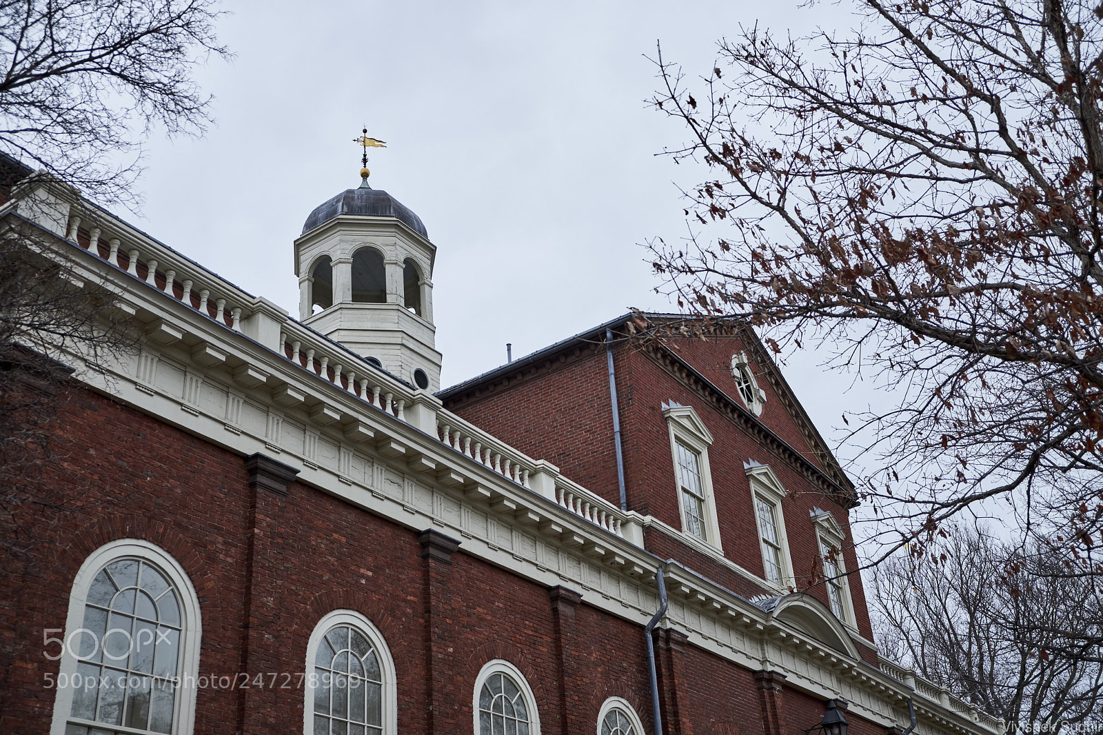 Fujifilm X-T2 sample photo. Ivy league photography