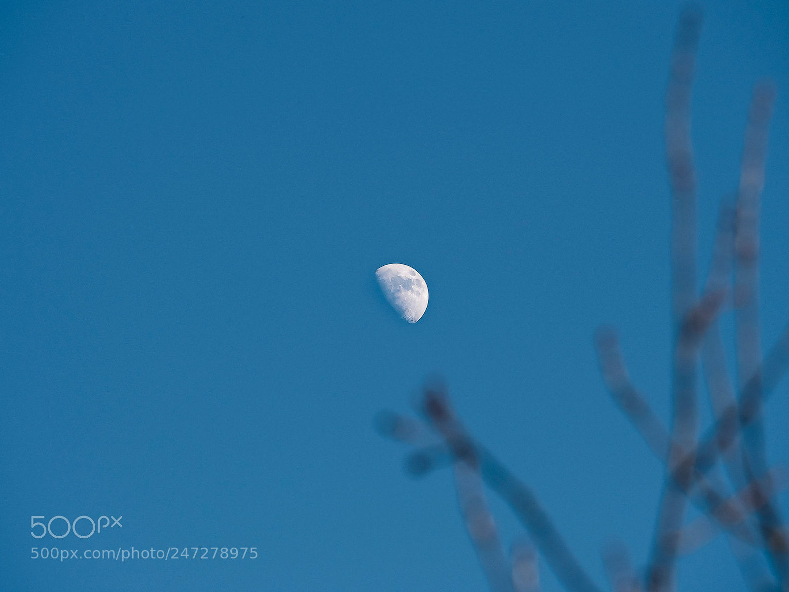 Olympus OM-D E-M5 II sample photo. The moon photography