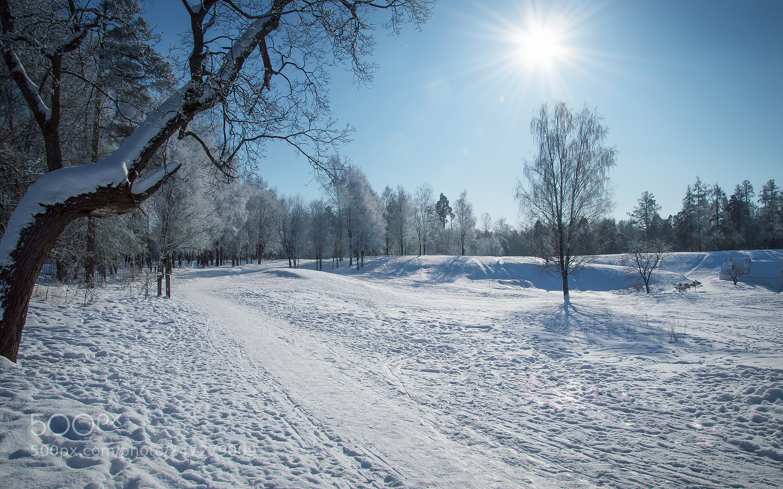 Nikon D3200 sample photo. Winter landscape photography