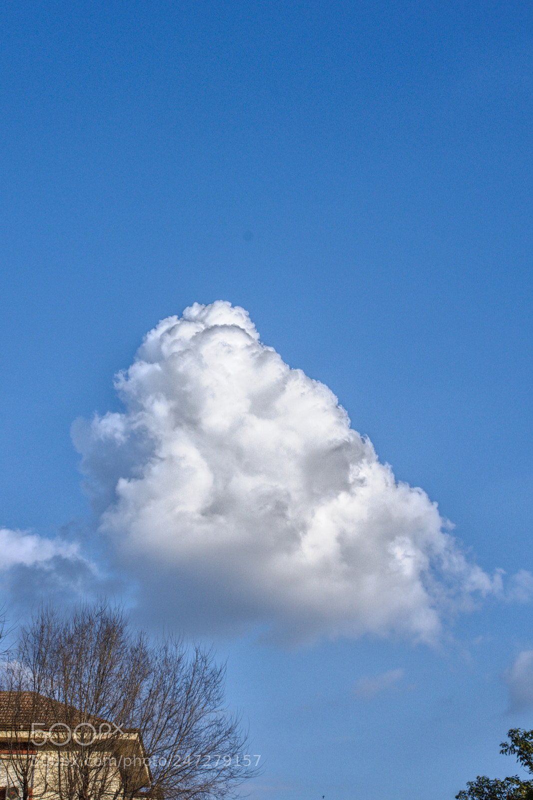 Nikon D300S sample photo. Nube de algodón photography