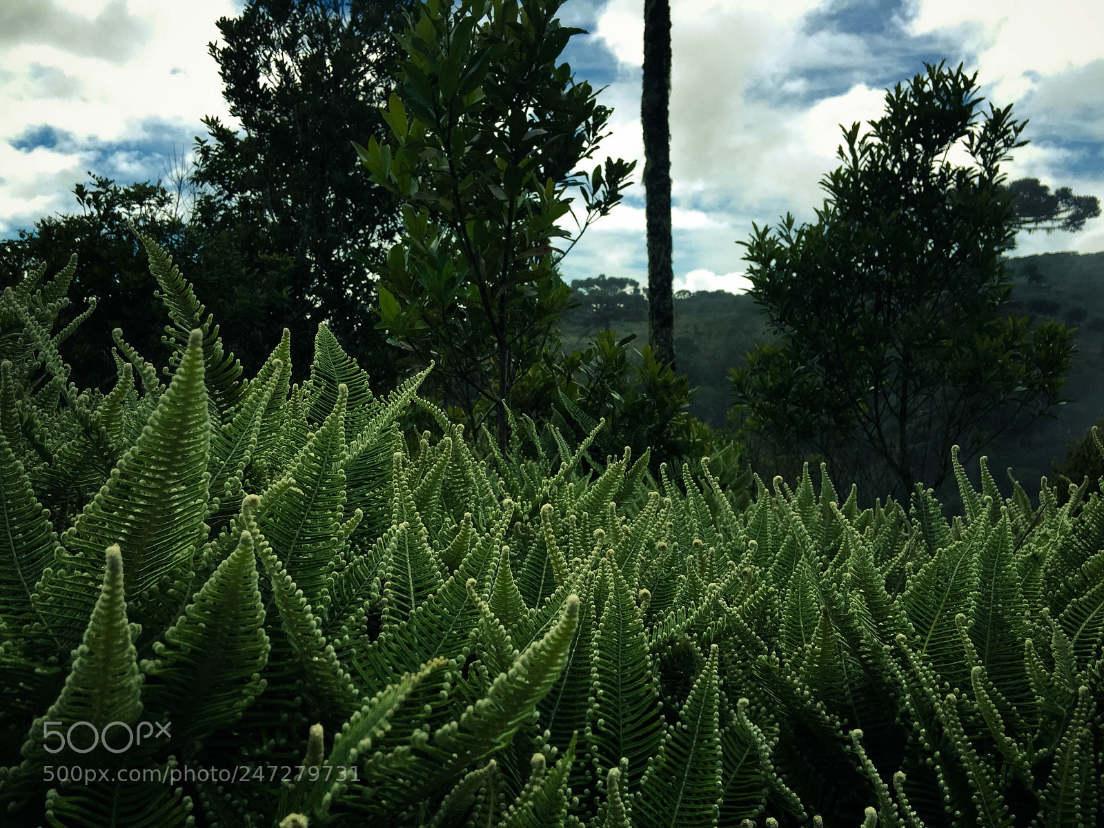 Apple iPhone 6 Plus sample photo. Santa catarina, brazil  photography