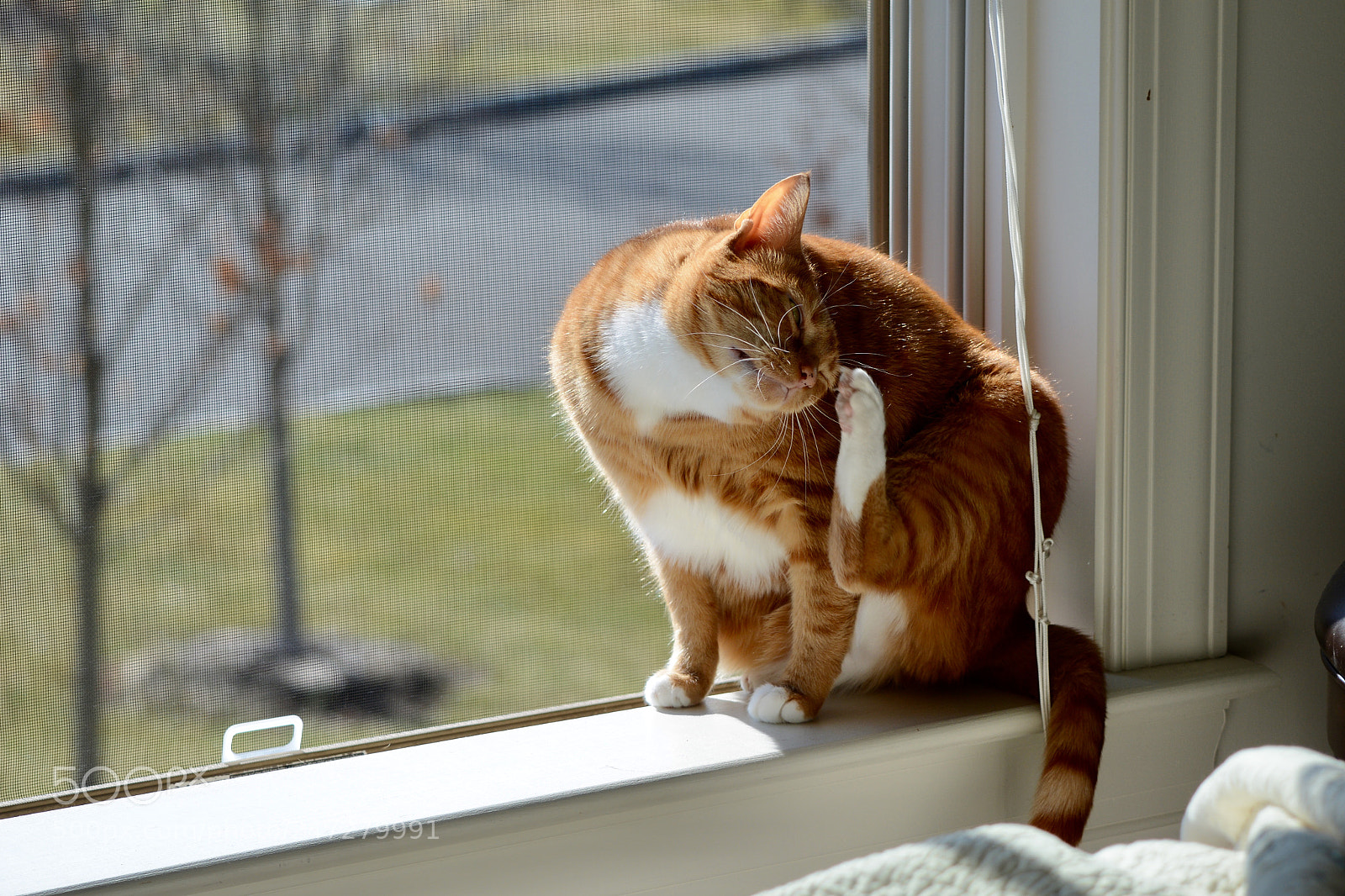 Nikon D7100 sample photo. Untitled photography