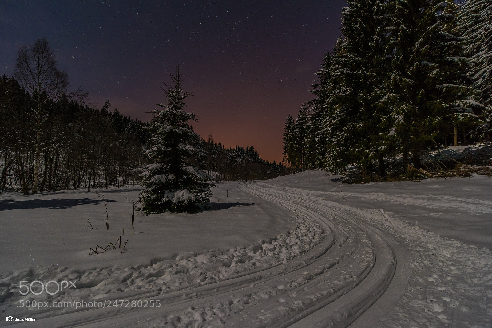 Nikon D810 sample photo. Moonlight trail photography