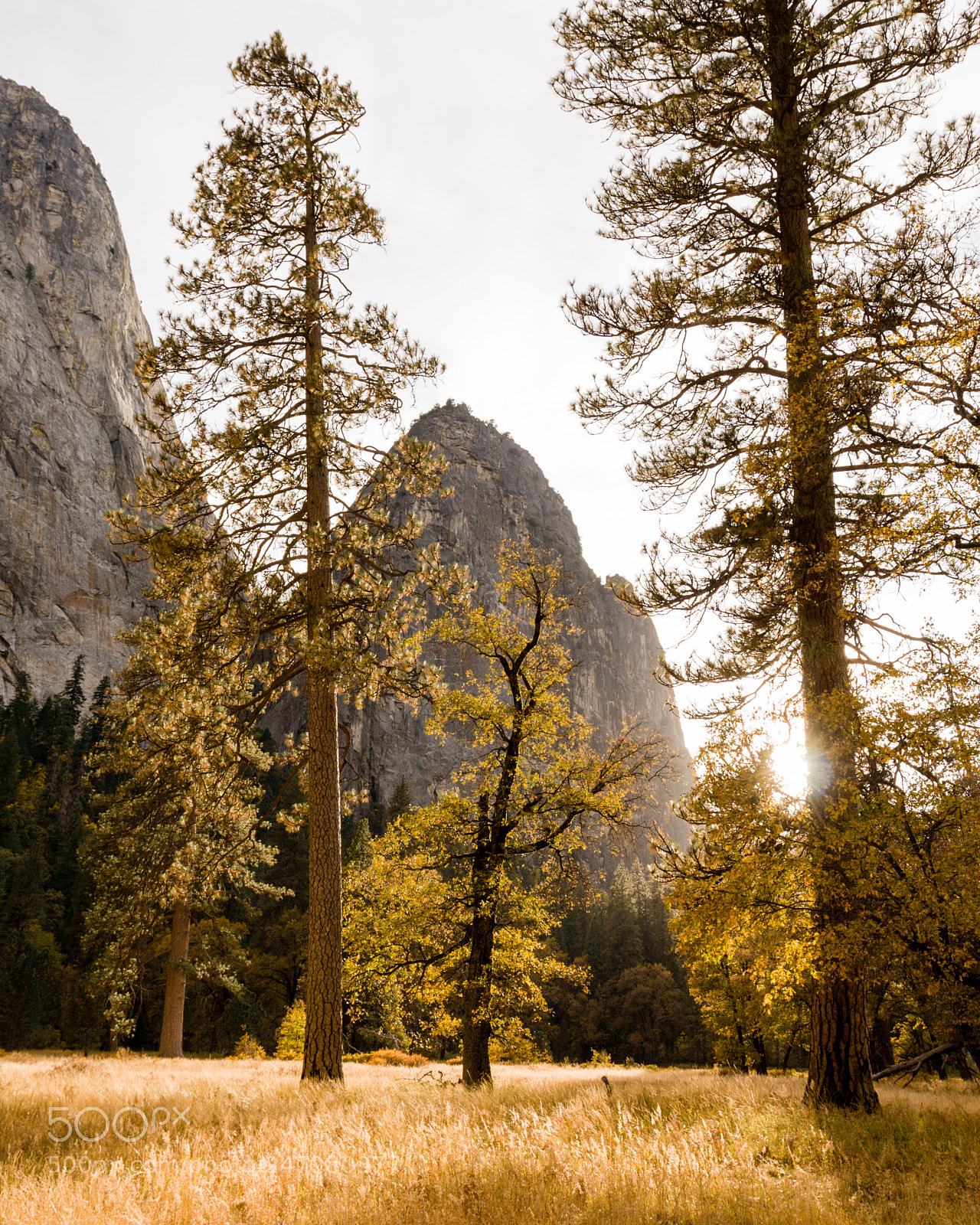 Canon EOS 40D sample photo. Sunset in yosemite valley photography