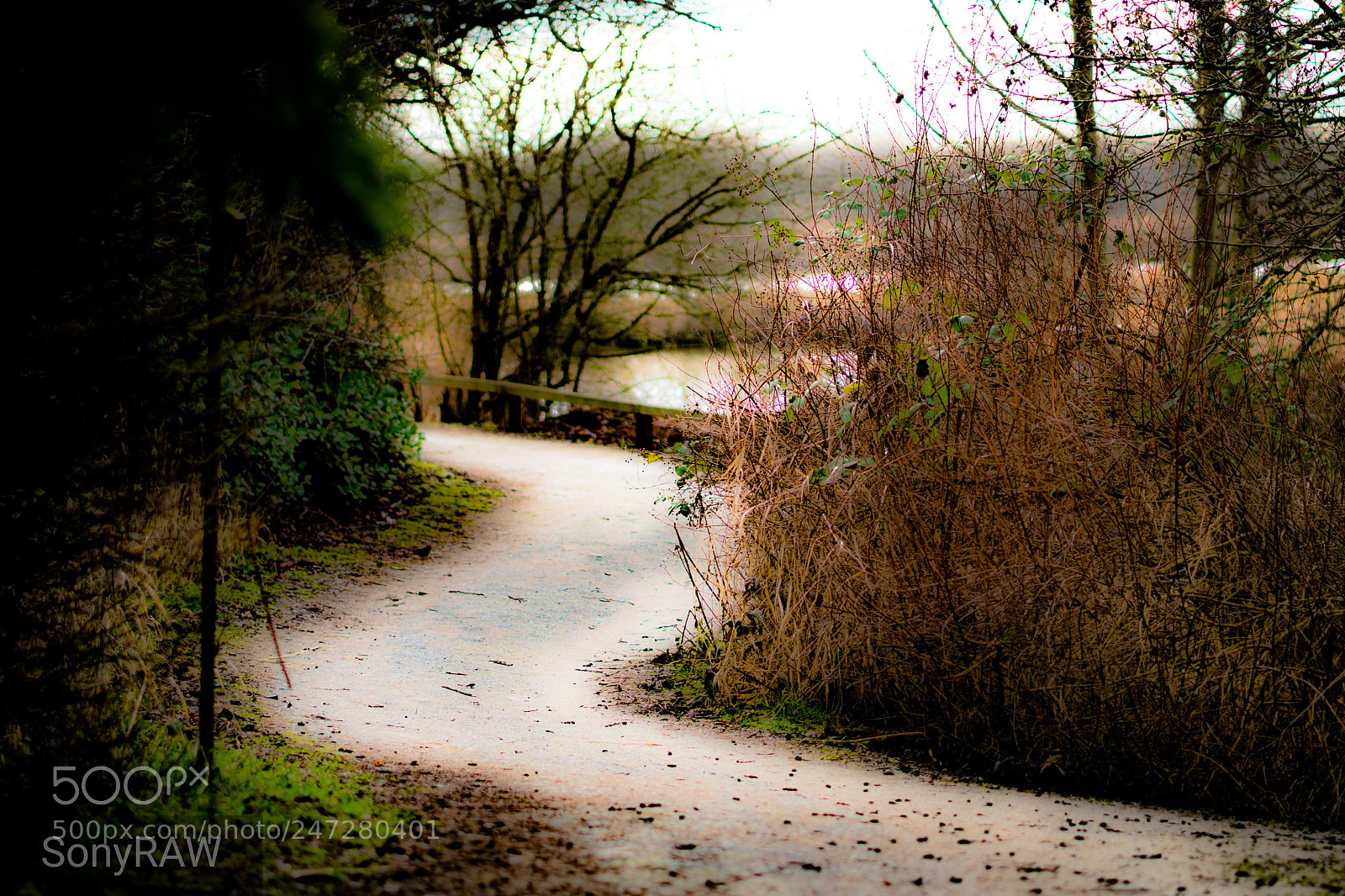 Sony a6500 sample photo. River path photography
