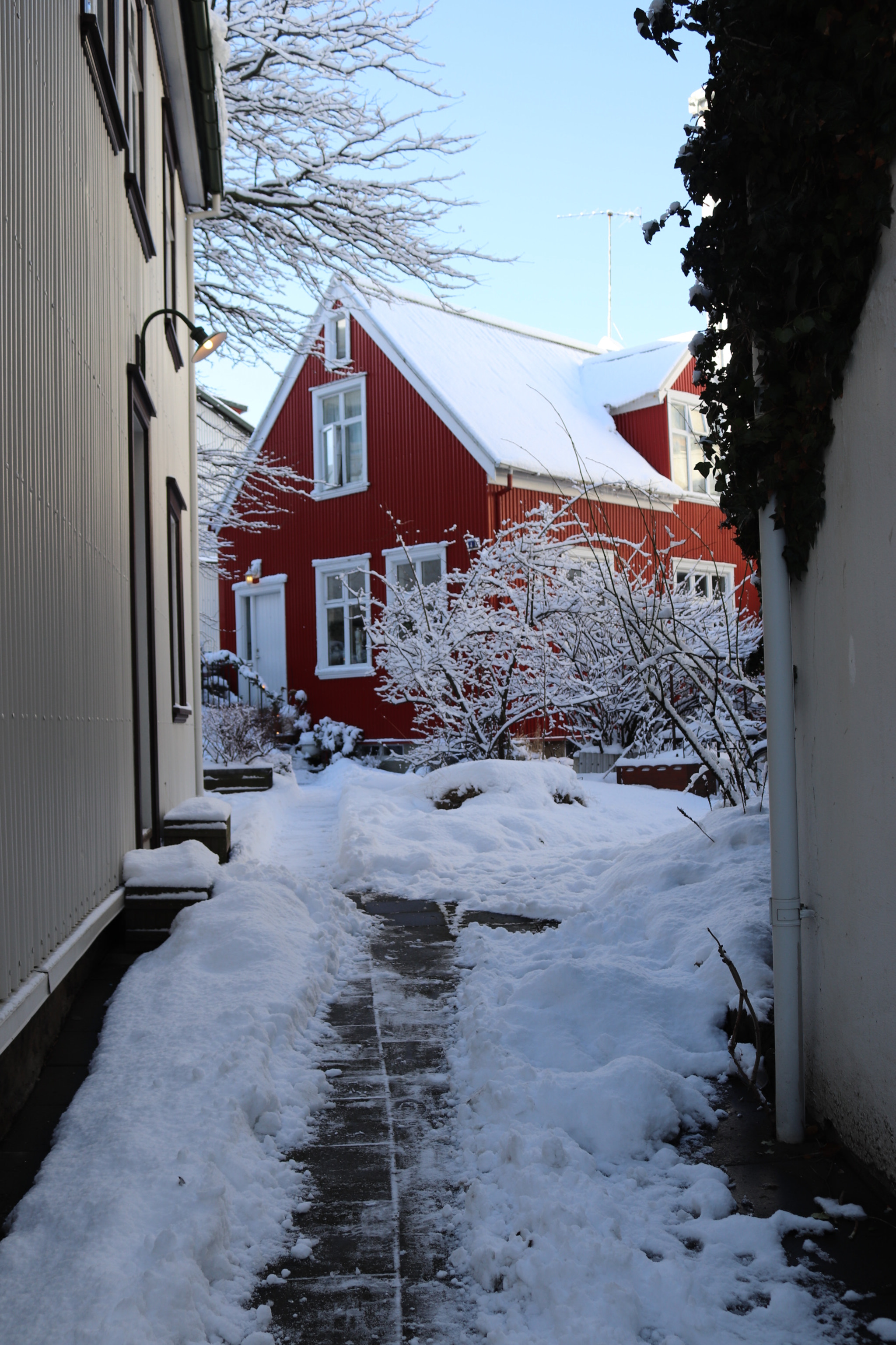 Canon EOS 77D (EOS 9000D / EOS 770D) + Canon EF-S 18-55mm F3.5-5.6 IS STM sample photo. A picture of a snow covered house and garden in reykjavik 17.02.18. photography