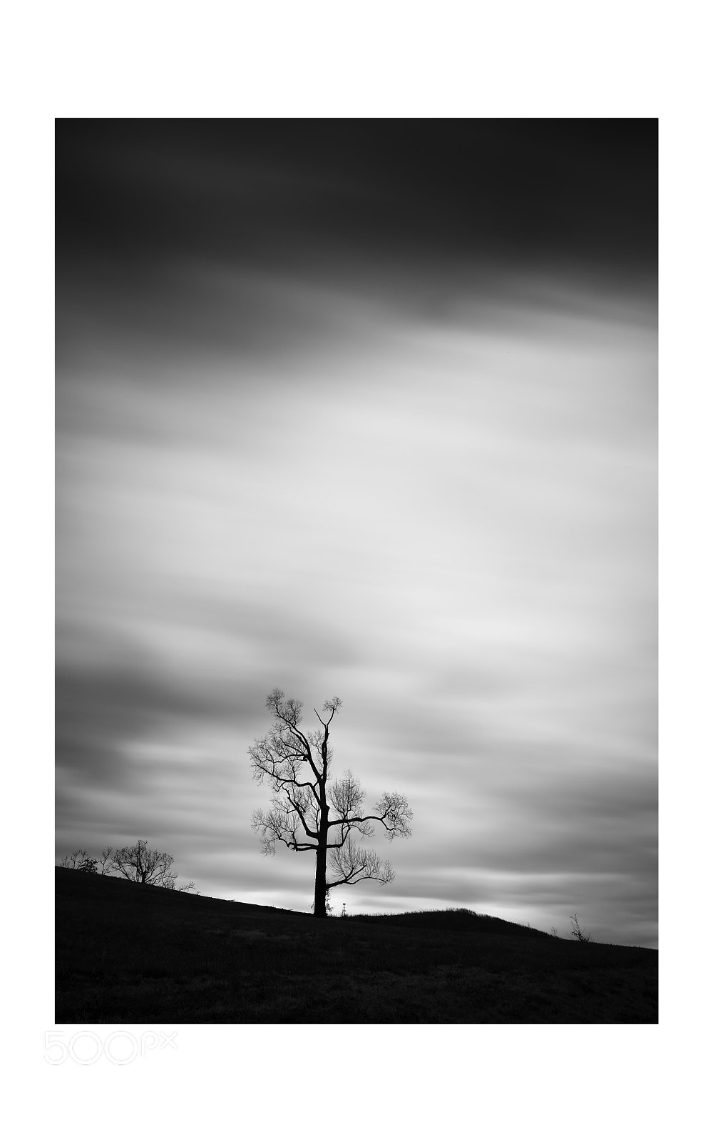 Fujifilm X-E3 sample photo. A tree photography