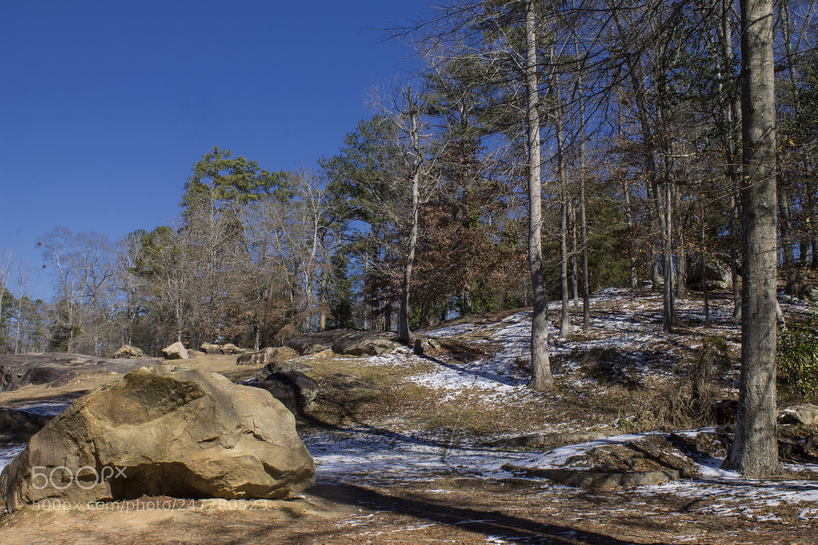 Canon EOS 1100D (EOS Rebel T3 / EOS Kiss X50) sample photo. Snow, rocks, and trees photography