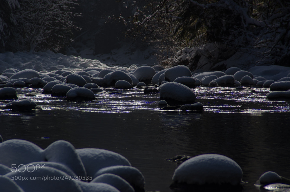 Pentax K-x sample photo. Snowy-3.jpg photography