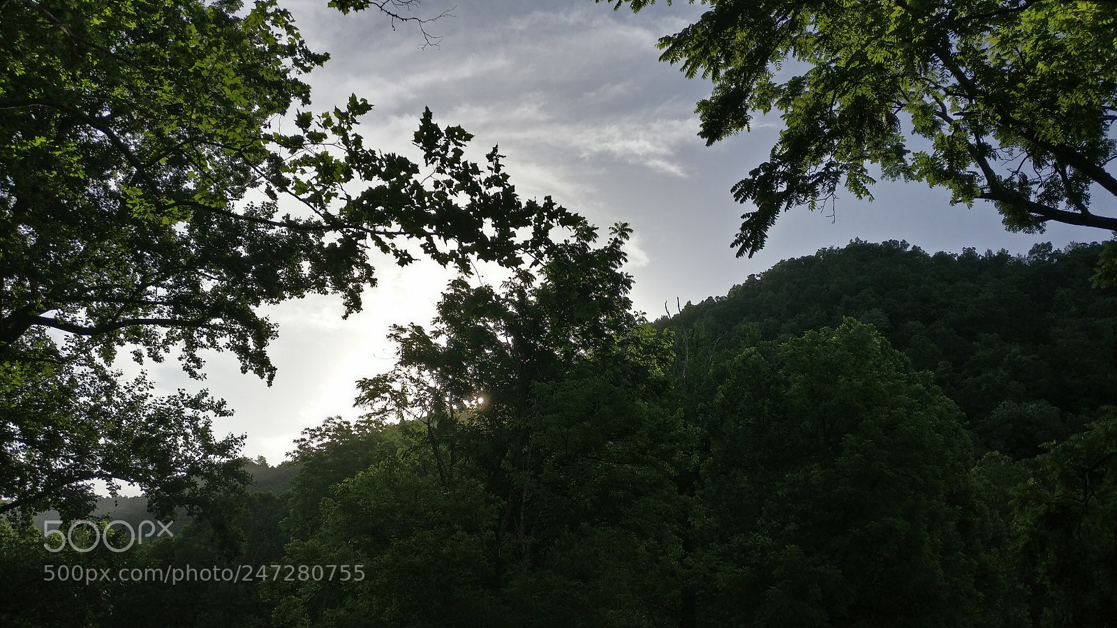 OnePlus A3000 sample photo. Sun after rain photography